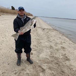 Meet your Posher, Jan